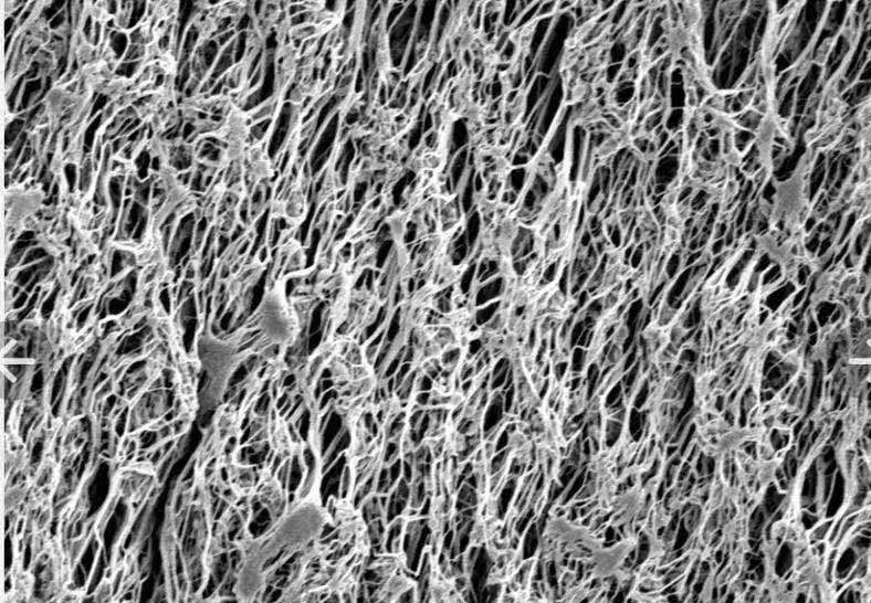 什么是防水透气膜？带你了解EPTFE材质